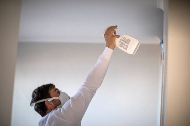 Best Mold Damage Repair  in Viola, NY